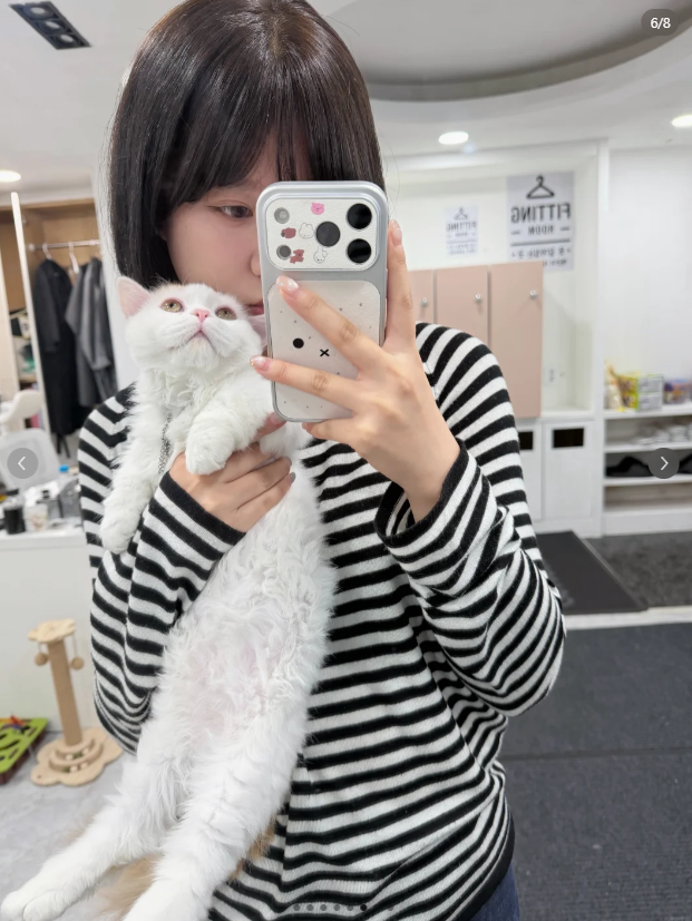 레드브릿지 협업 콘텐츠